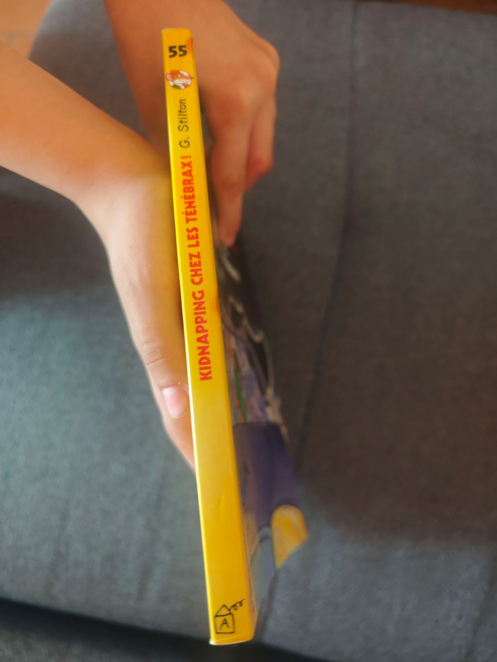 Kidnapping chez les Ténébrax Tome 55 (Geronimo Stilton) – photo 3